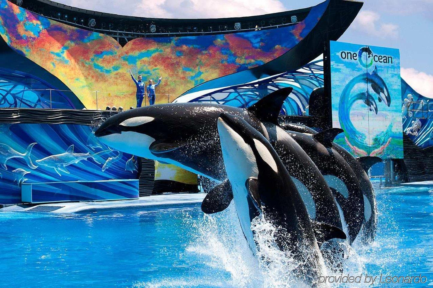 ホテル ヒルトン サン ディエゴ ミッション バレー サンディエゴ エクステリア 写真